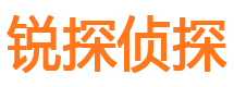 丽水侦探公司